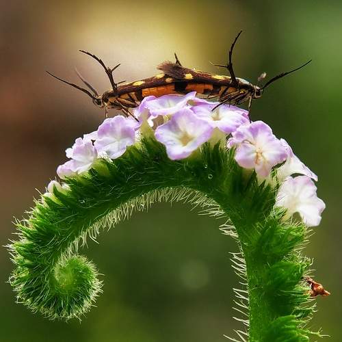 Photo #6123508