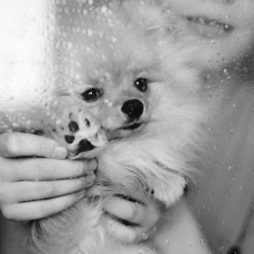 Photo #6123568