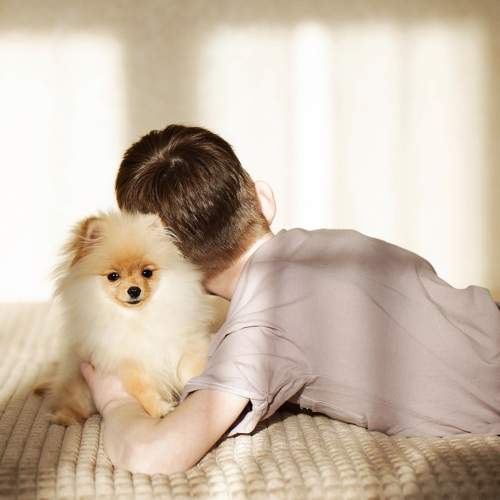 Photo #6123579