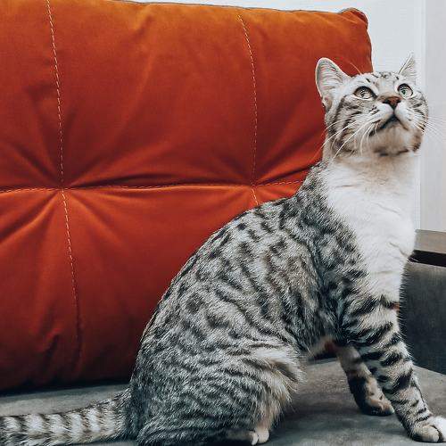 Photo #6123644