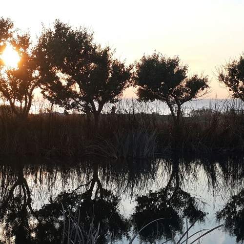 Photo #6123692