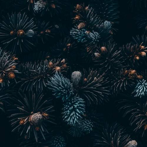 Photo #6124225