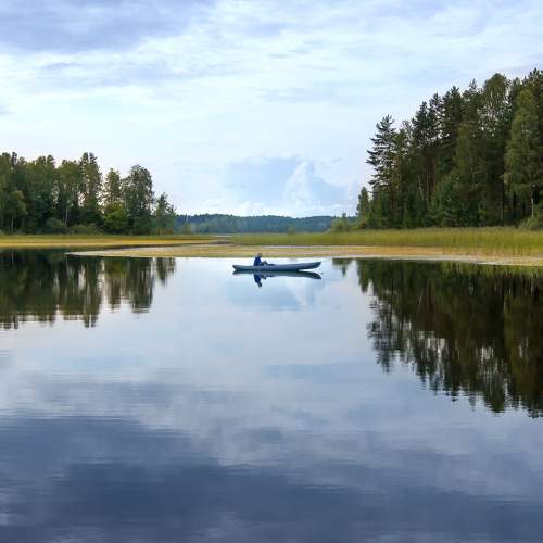 Photo #6124403