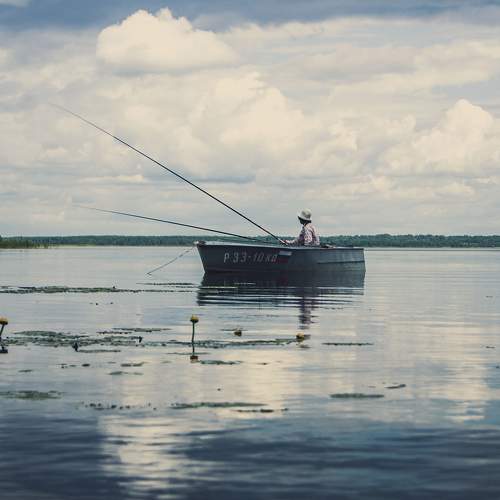 Photo #6124409