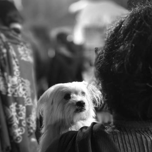Photo #6124733