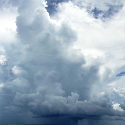 Photo #6124782