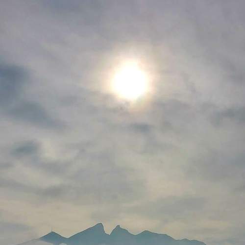 Photo #6124784