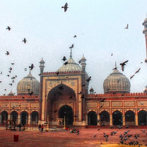 Photo #6124787