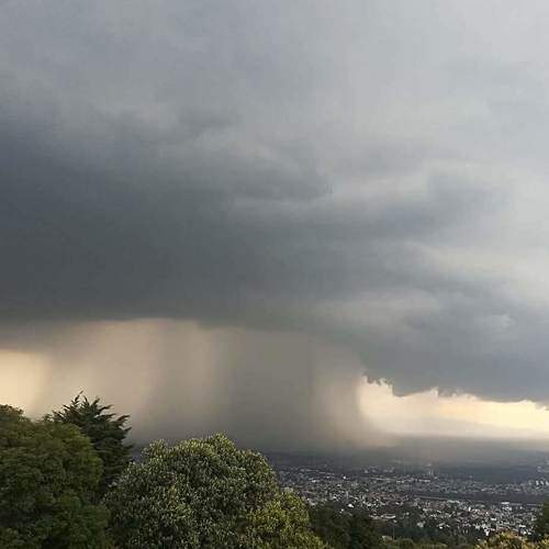 Photo #6124812