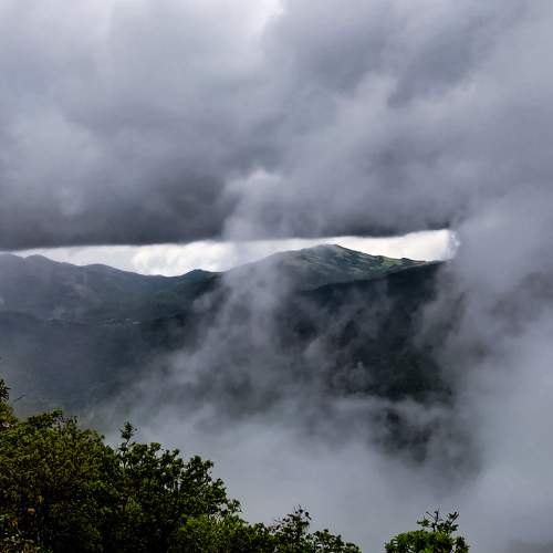 Photo #6124879