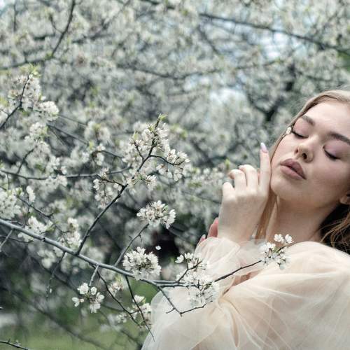 Photo #6124885