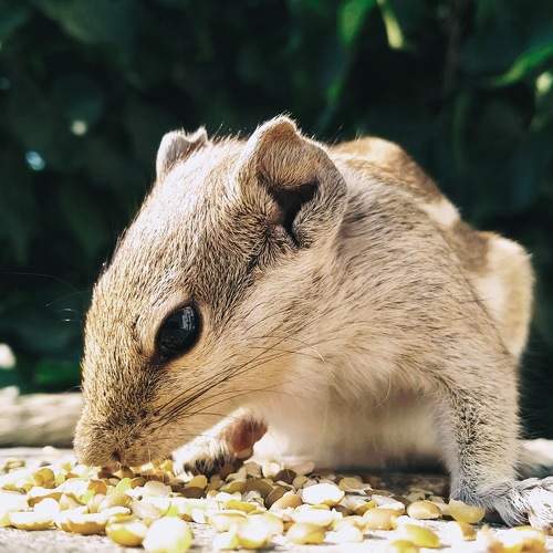 Photo #6124910