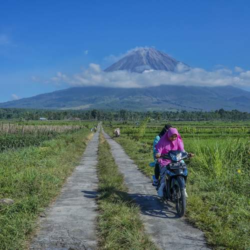 Photo #6124914