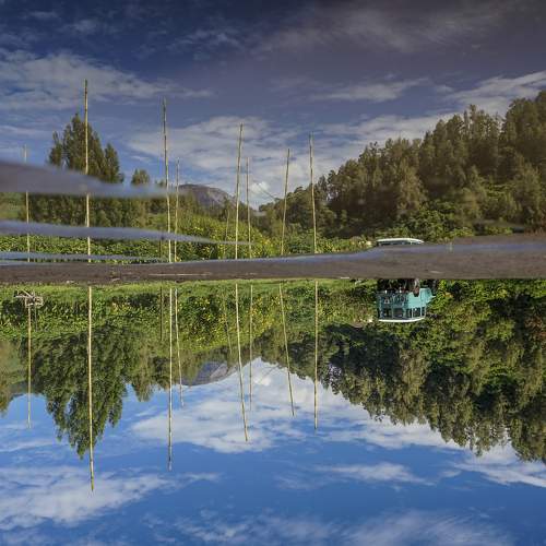 Photo #6124920