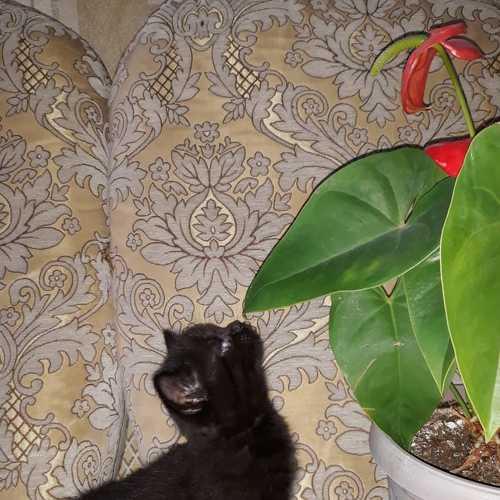 Photo #6124930