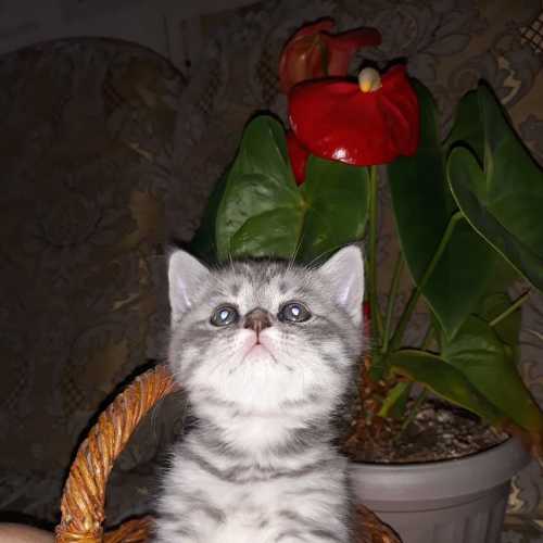 Photo #6124931
