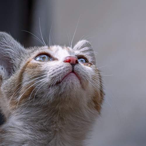 Its a dreamy world.