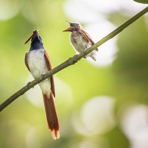 Photo #6125203