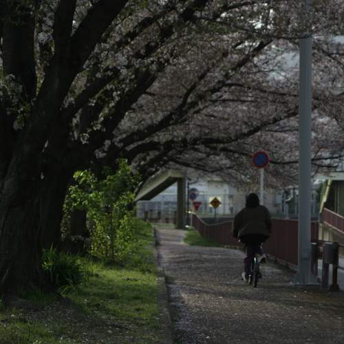 Photo #6125224