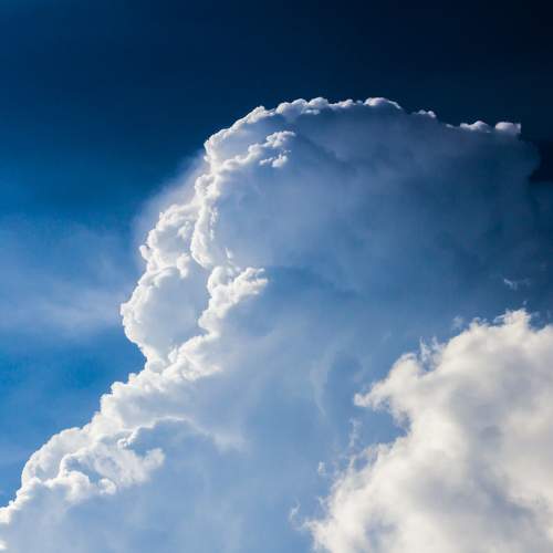 Photo #6125229
