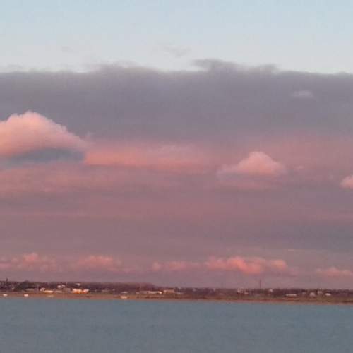 Photo #6125252