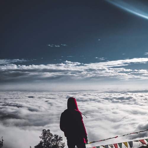 Photo #6125663