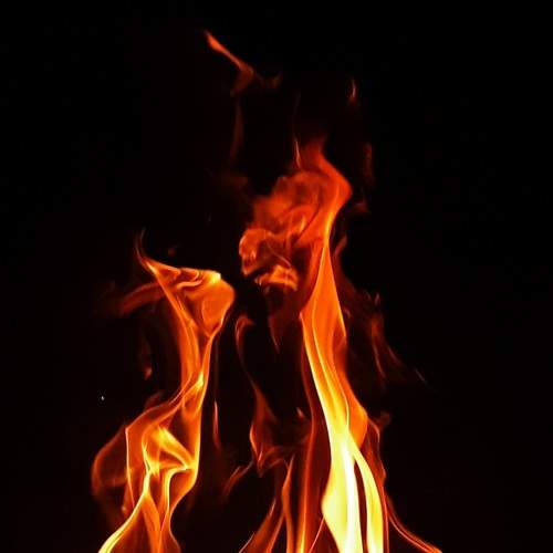 Photo #6125667