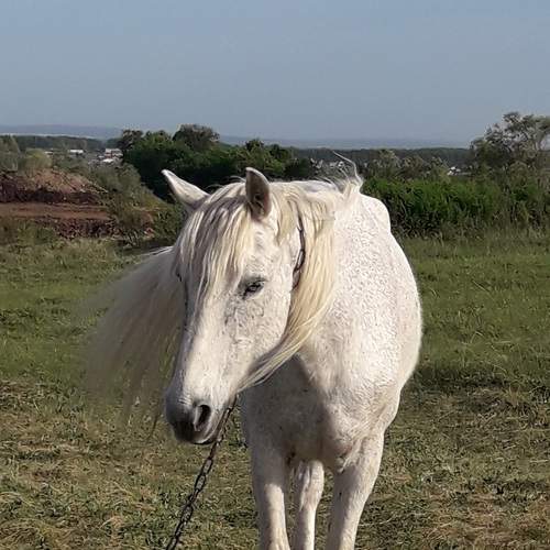 Photo #6125753