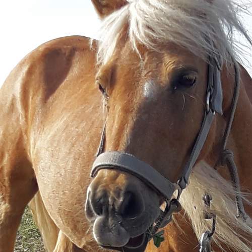 Photo #6125754