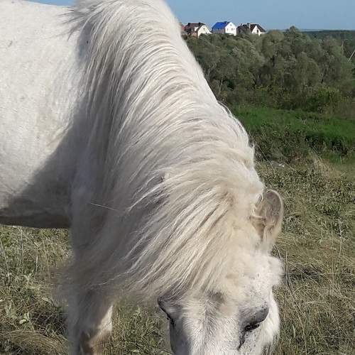 Photo #6125755