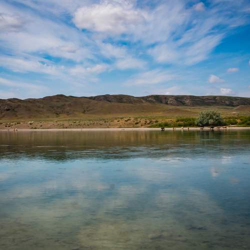 Photo #6126203