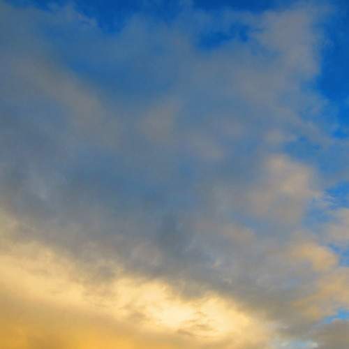 Photo #6126292