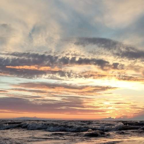 Photo #6126453