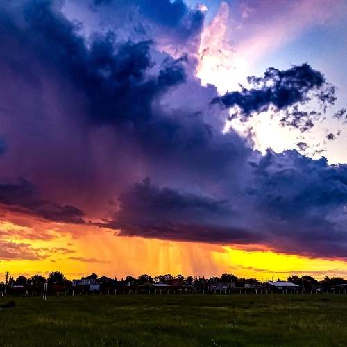 Photo #6126617