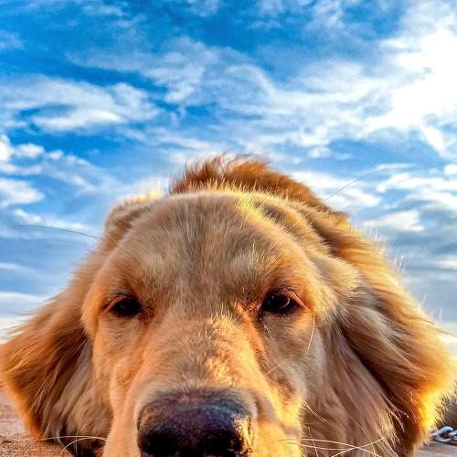 Photo #6126618