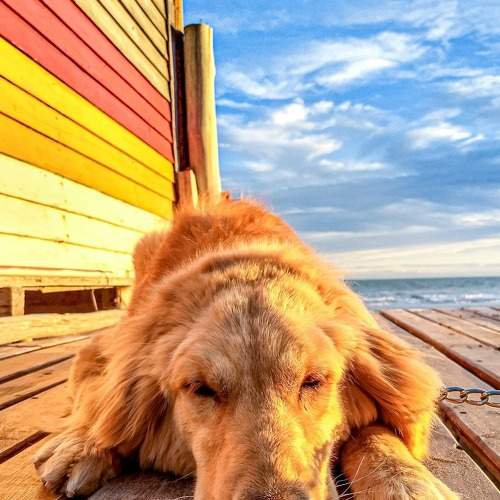 Photo #6126624