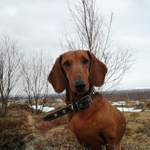 Photo #6126961