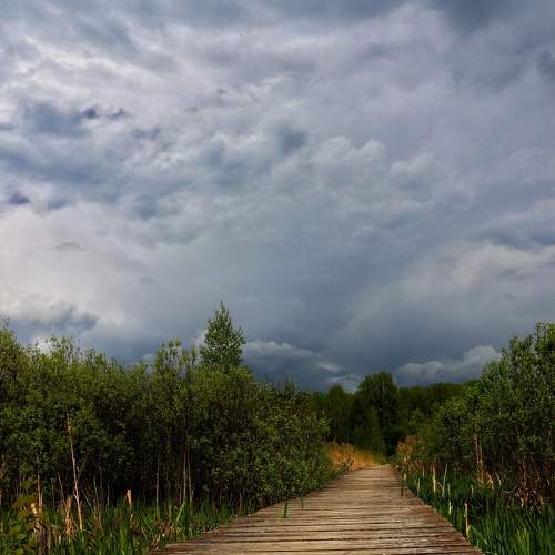 Photo #6127397