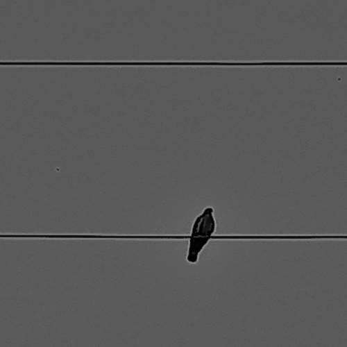 Photo #6127518