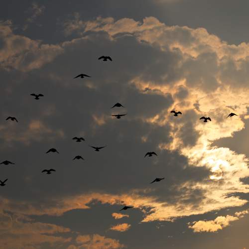 Photo #6127621