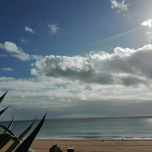 Photo #6127724