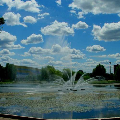 Photo #6127820