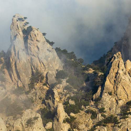 Photo #6127839