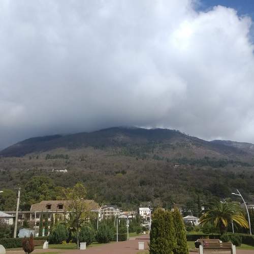 Photo #6127890