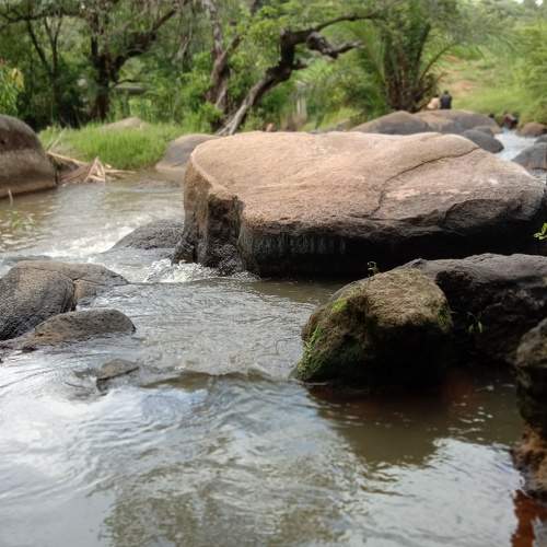 Photo #6128288