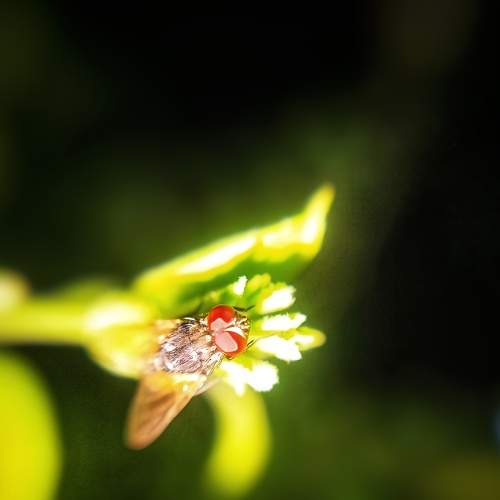 Photo #6128365