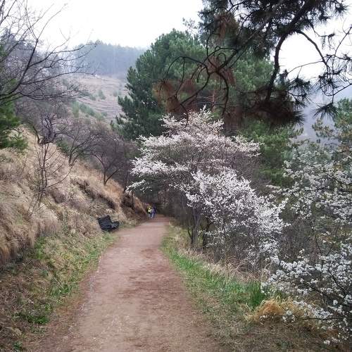 Photo #6128384