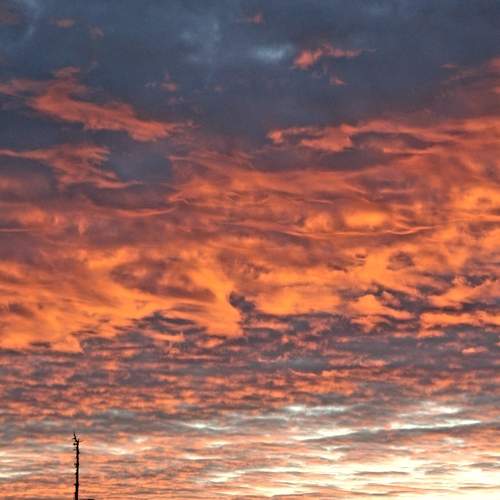 Photo #6128432