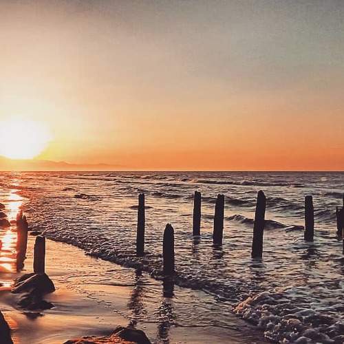 Photo #6128519