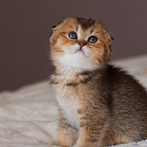 Photo #6128575